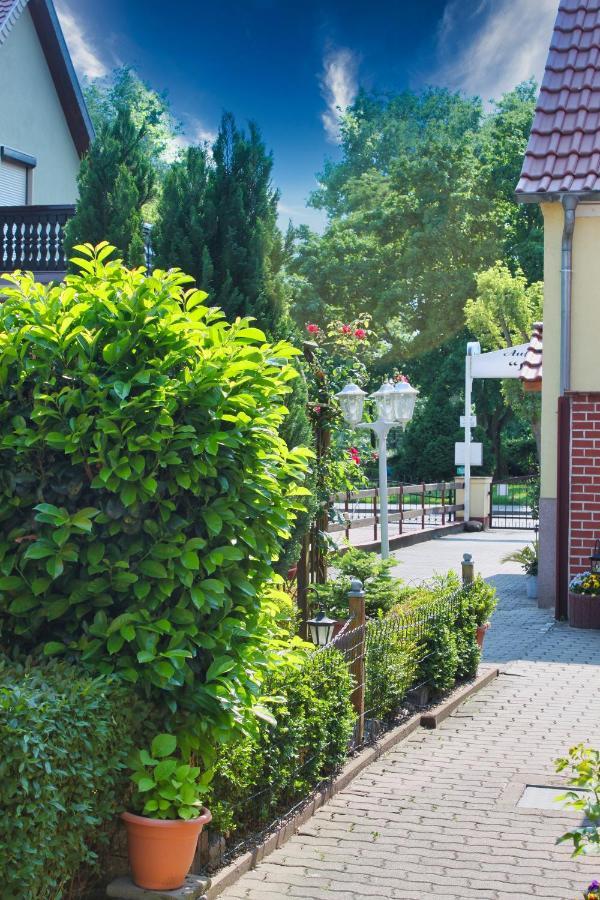 Pension Luisenhof Tangermünde Εξωτερικό φωτογραφία